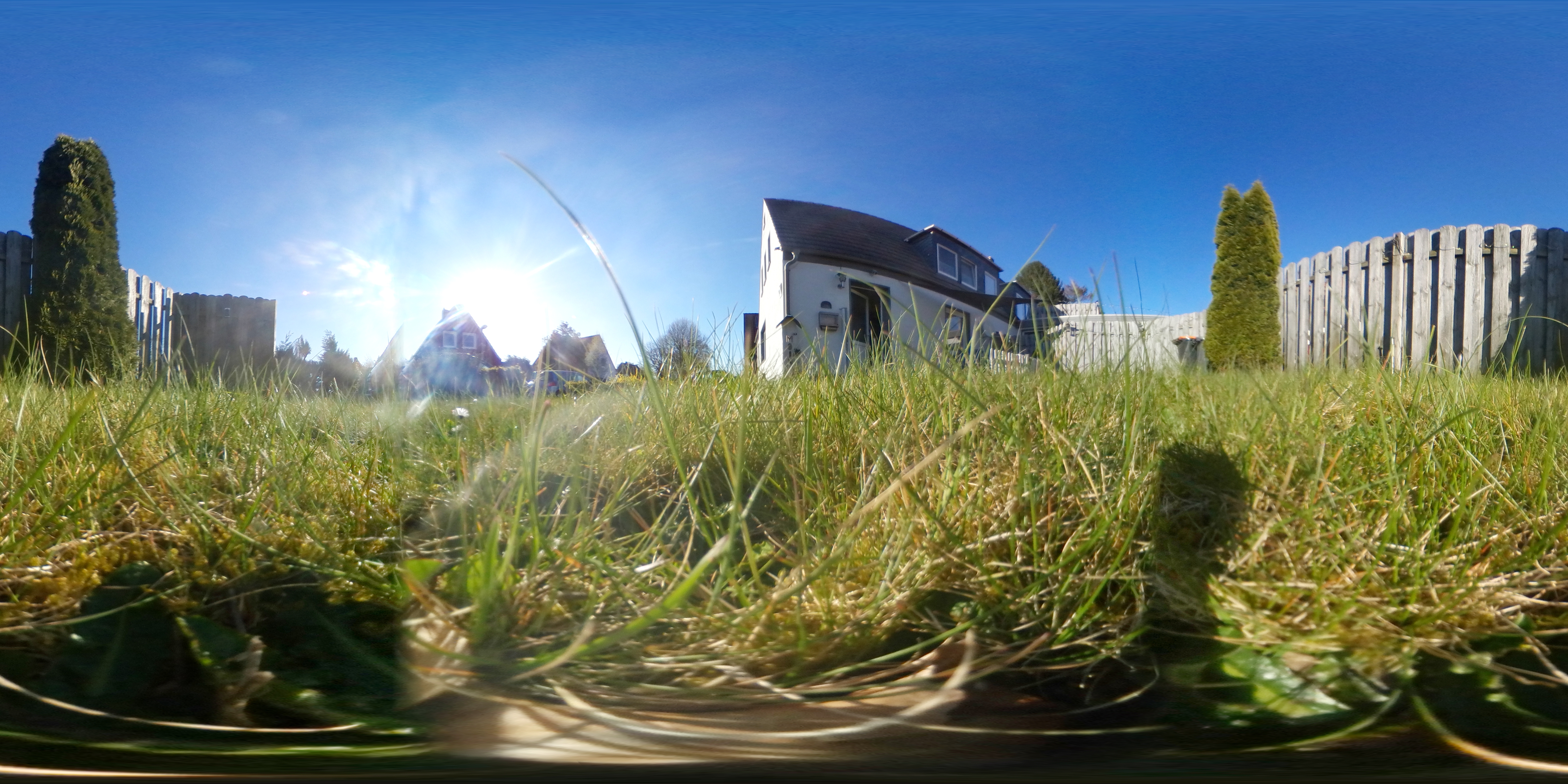Gartenwiese